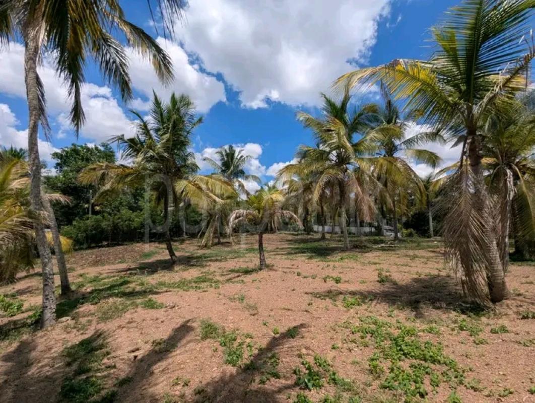 Commercial Land for Sale in Minuwangoda