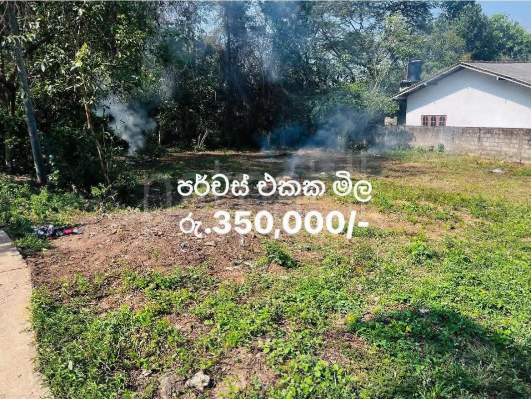  Land for Sale in Niwandama