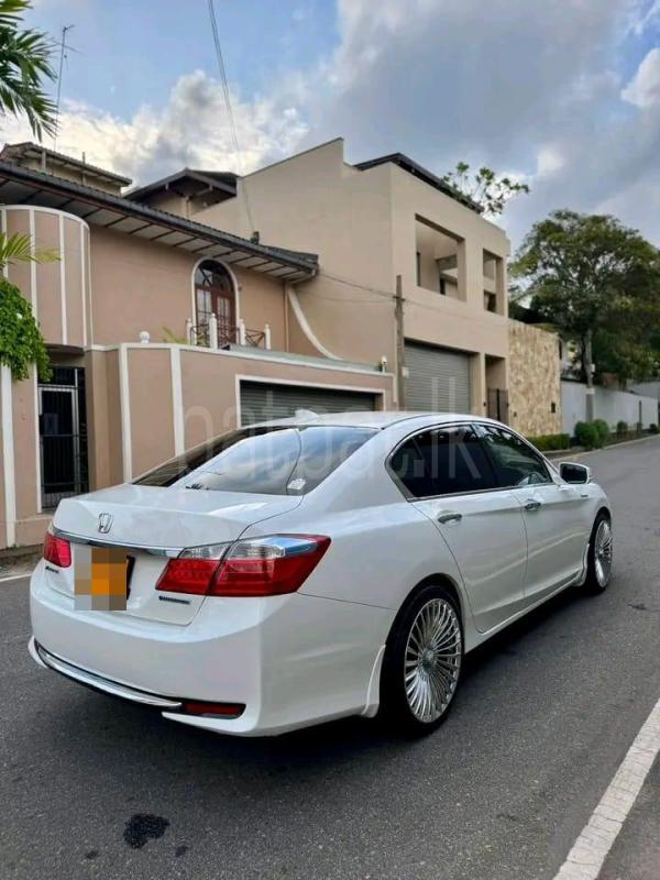 Advertisement image 3