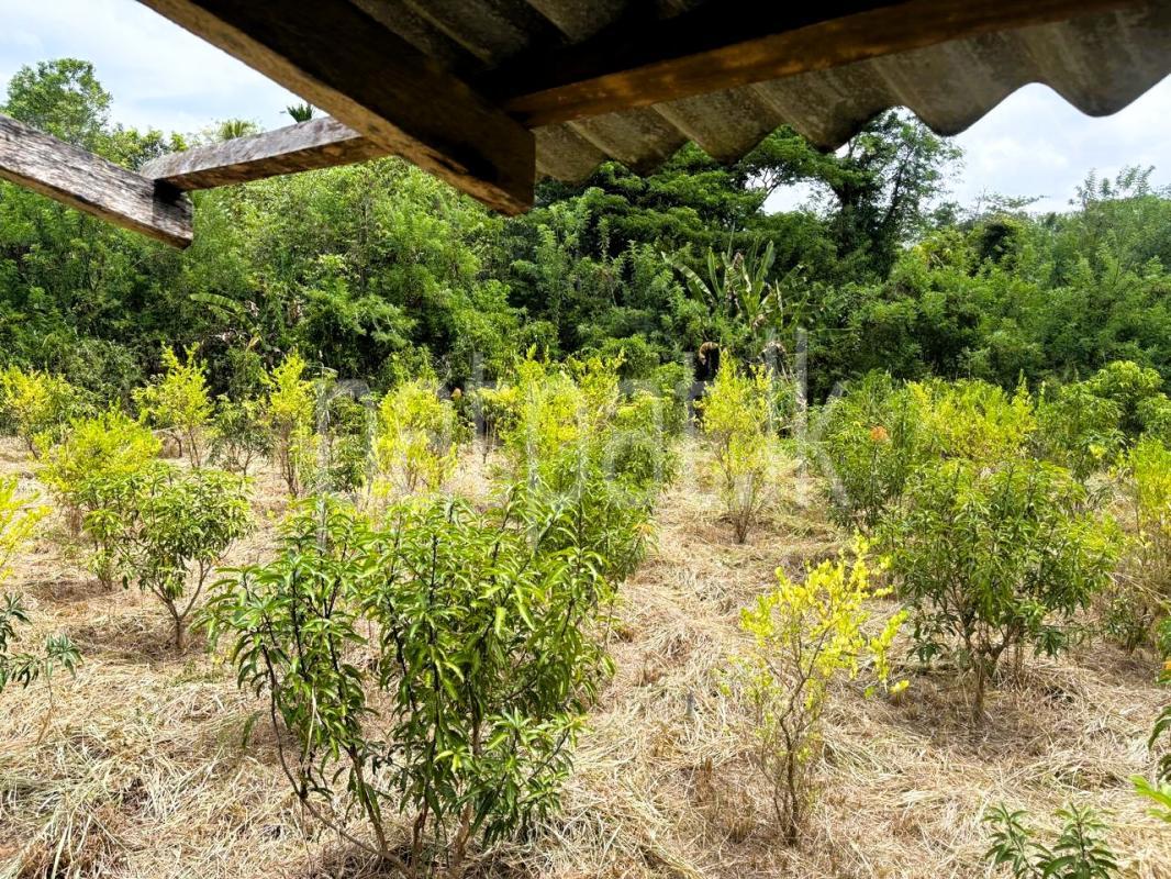 Agricultural Land for Sale in Monaragala