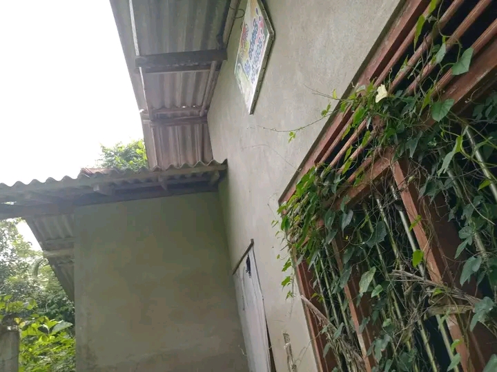 House for Sale in Beliatta