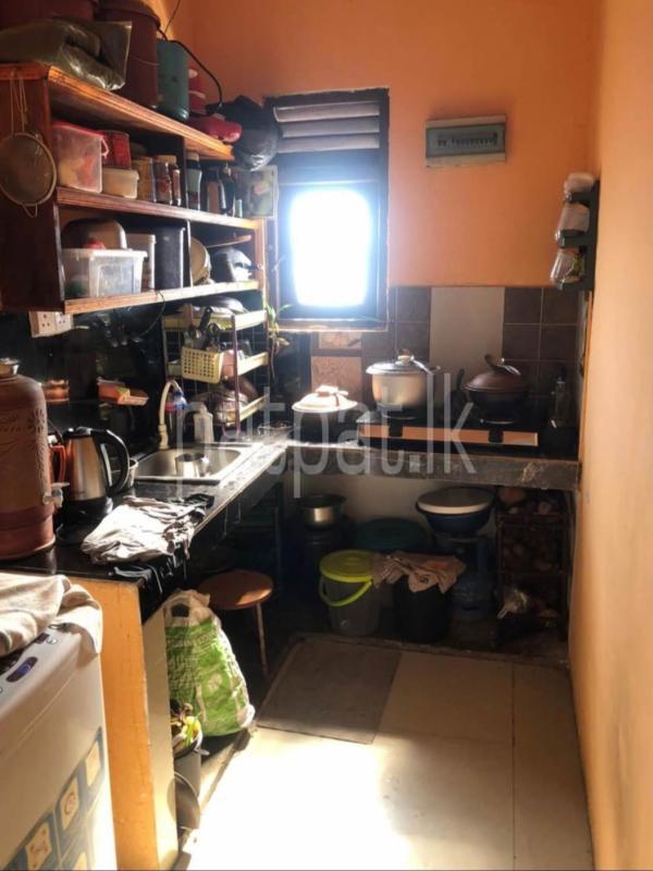 Semi Luxury Apartment for Rent in Wellawatta (Colombo 06)