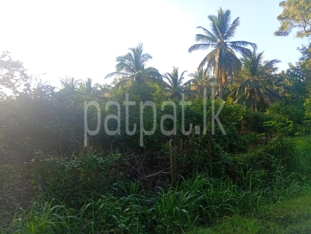 Residential Land for Sale in Mihintale ads-image-1