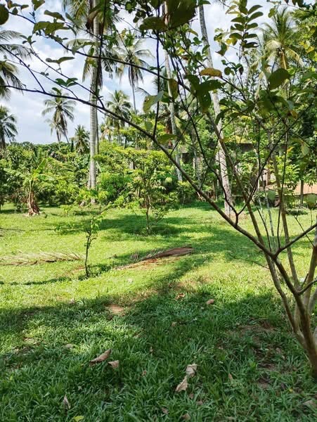 Commercial Land for Sale in Yakkala