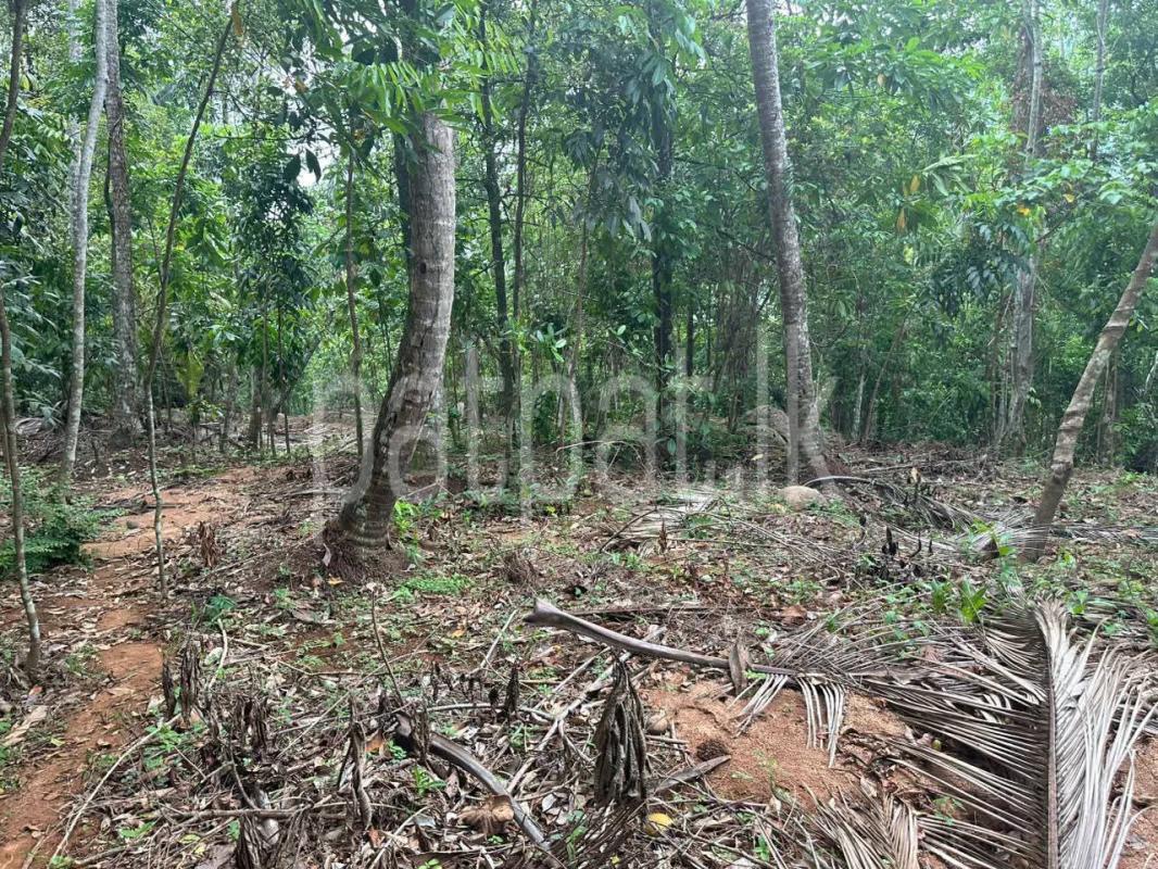 Residential Land for Sale in Nittambuwa