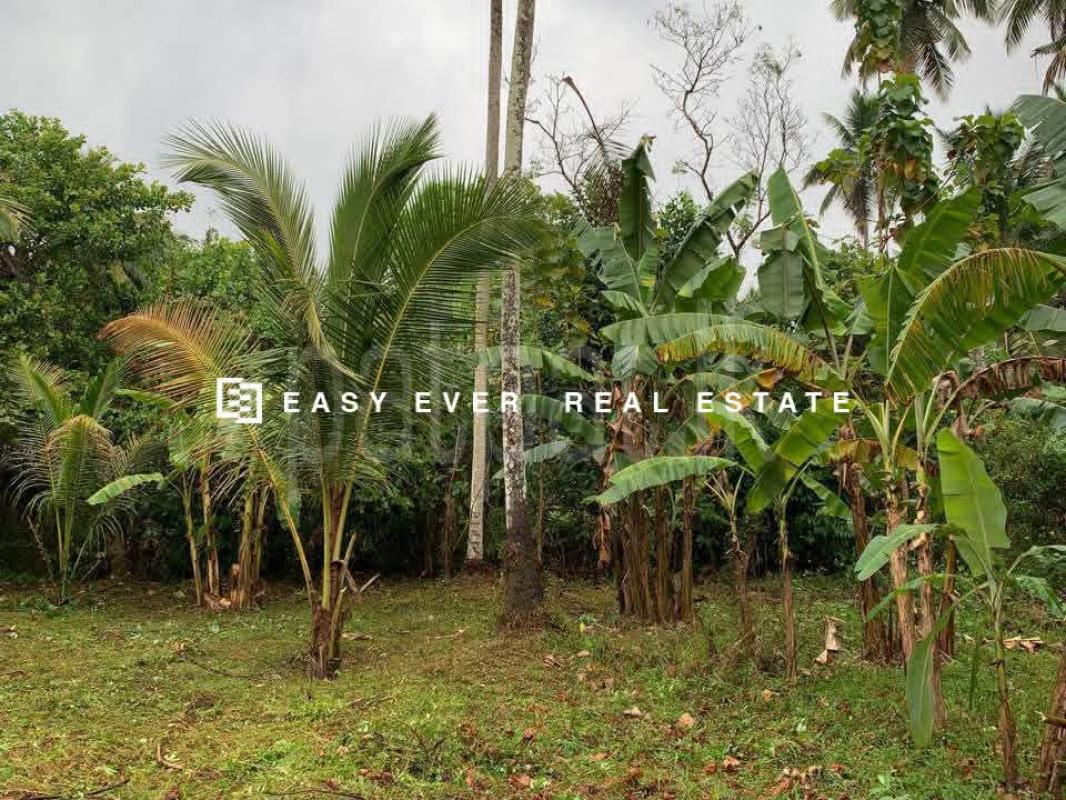 Residential Land for Sale in Giriulla