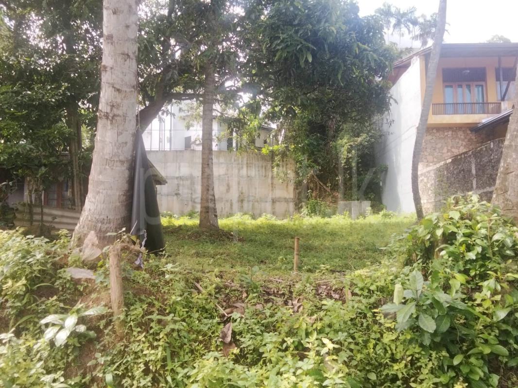Residential Land for Sale in Kirulapone