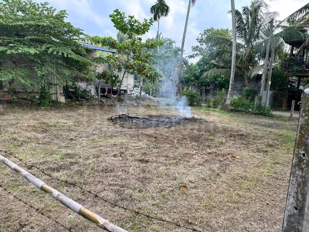 Residential Land for Sale in Pamunuwatta ads-image-1