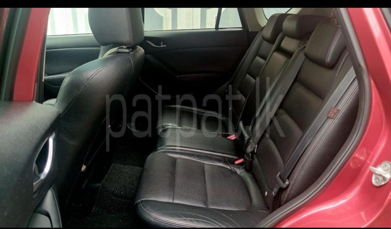 Advertisement image 3