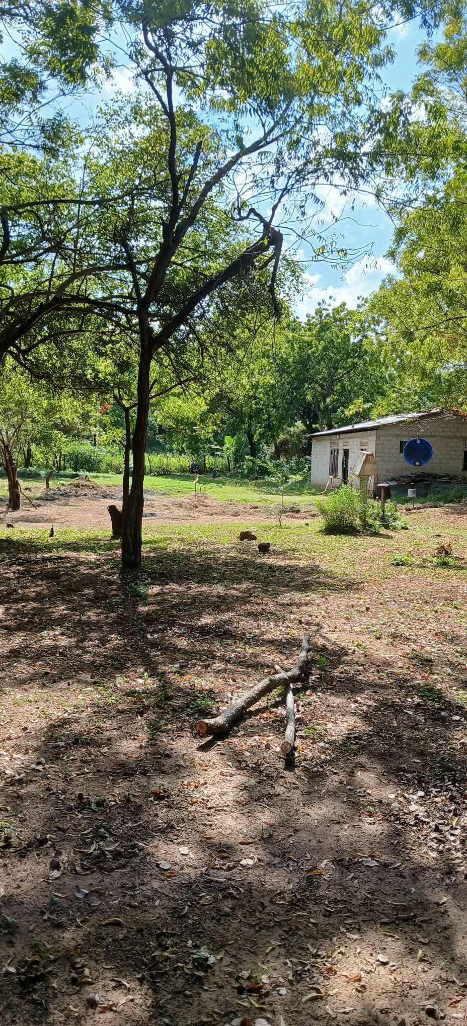 Residential Land for Sale in Kataragama