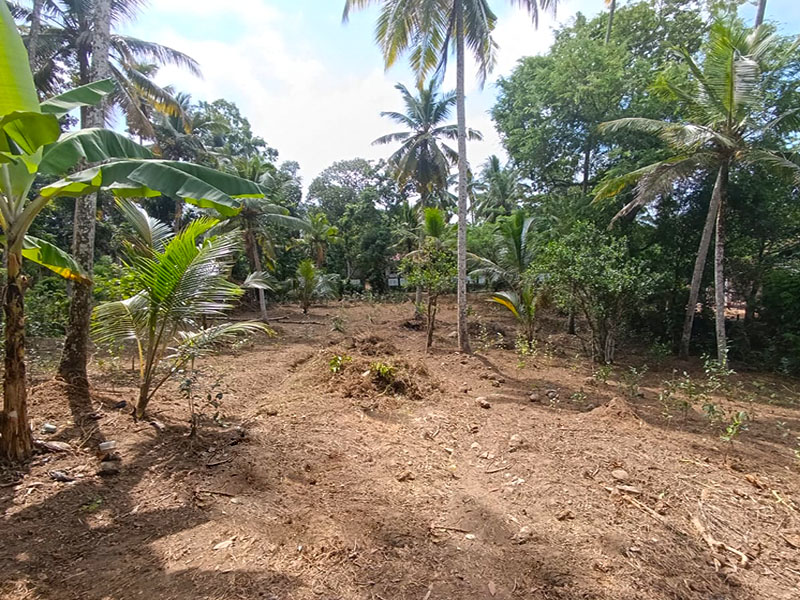 Commercial Land for Sale in Ahangama