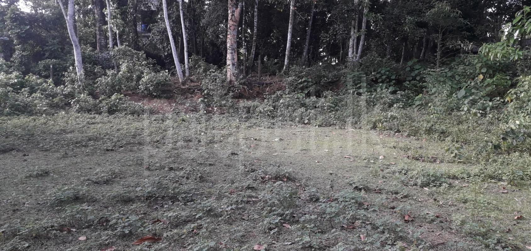 Commercial Land for Sale in Homagama