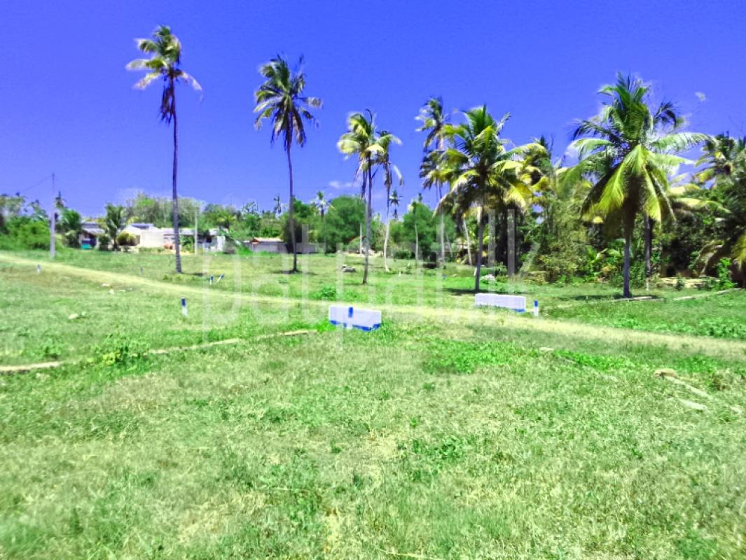 Commercial Land for Sale in Wariyapola