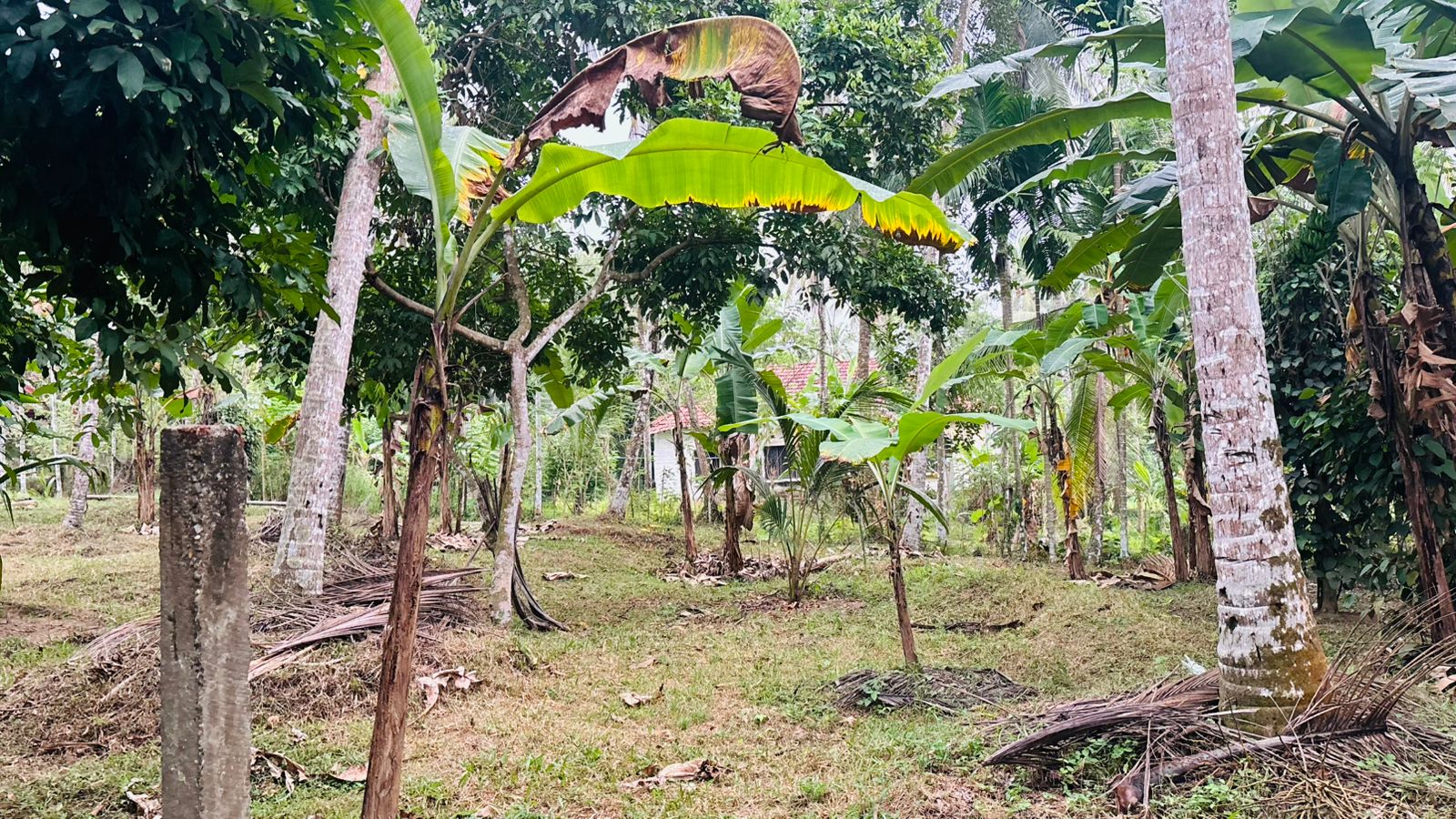 Residential Land for Sale in Weliveriya