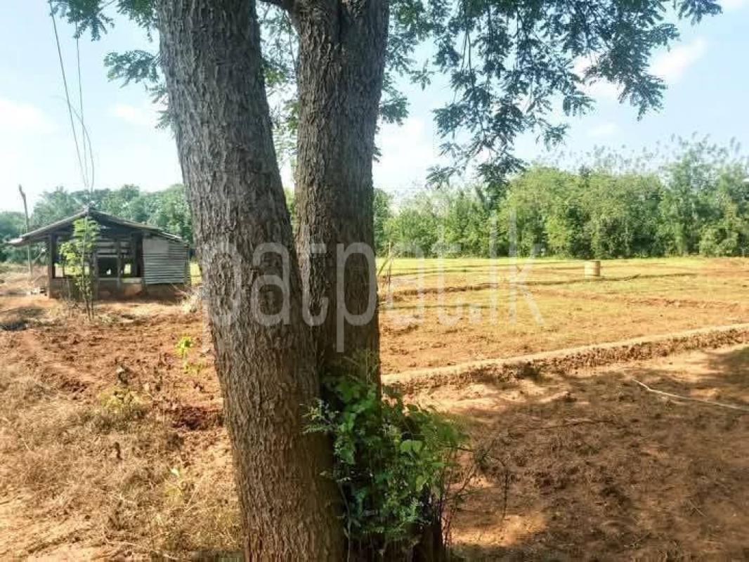 Residential Land for Sale in Sella Kataragama