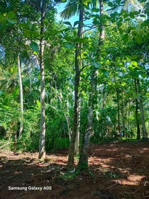 Residential Land for Sale in Kurunegala