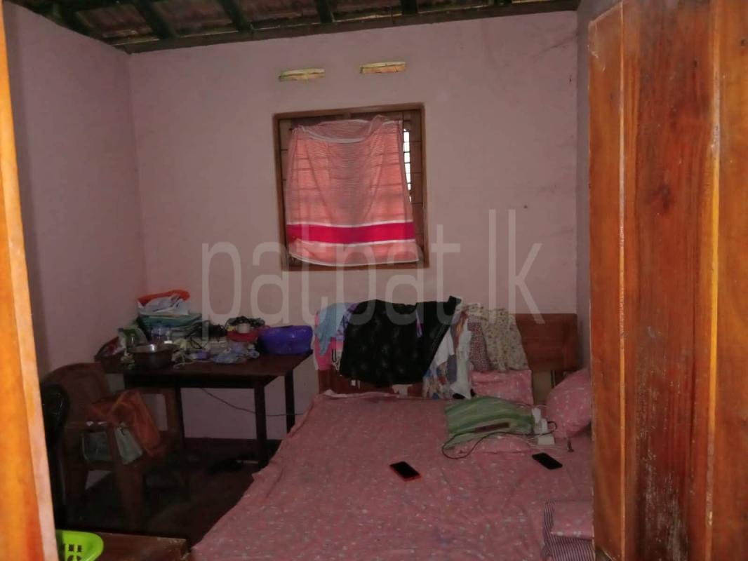 House for Sale in Divulapitiya ads-image-1