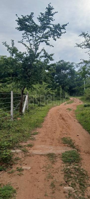 Residential Land for Sale in Kataragama