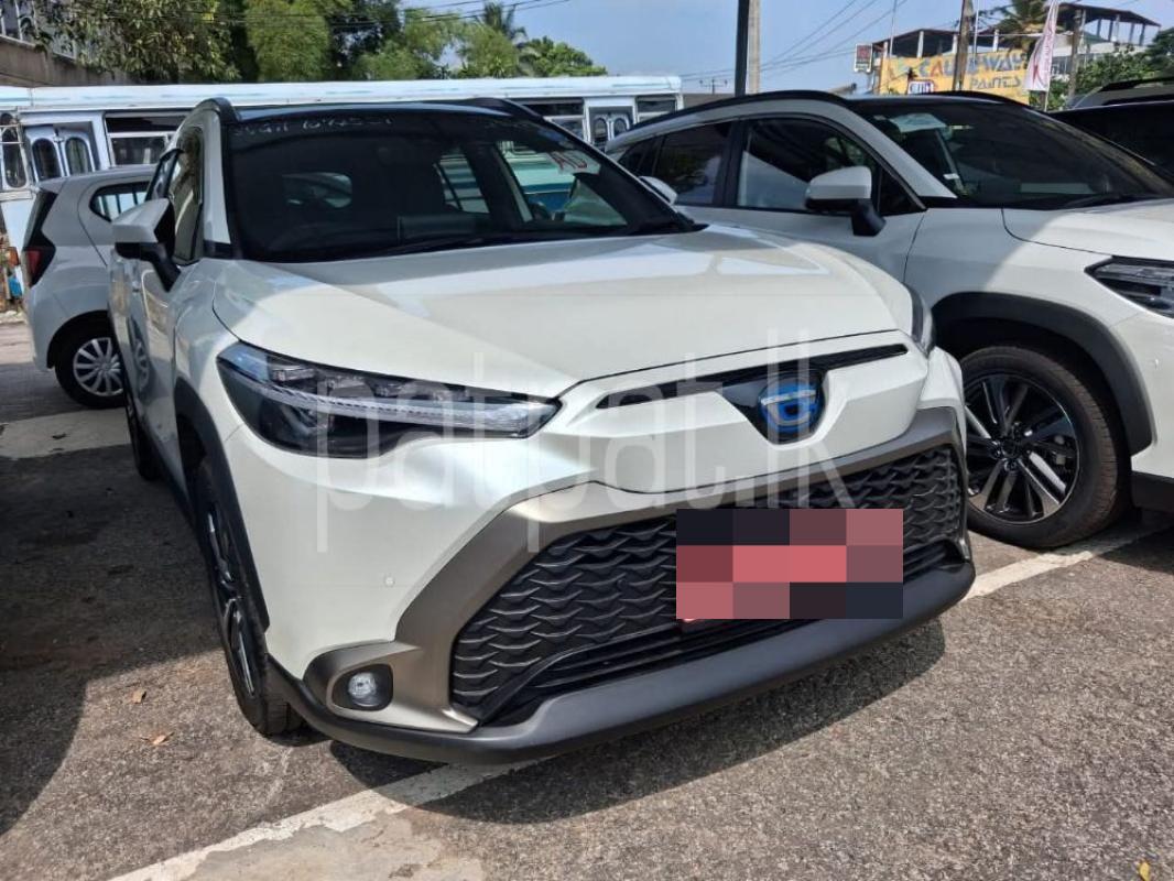 Advertisement image 1