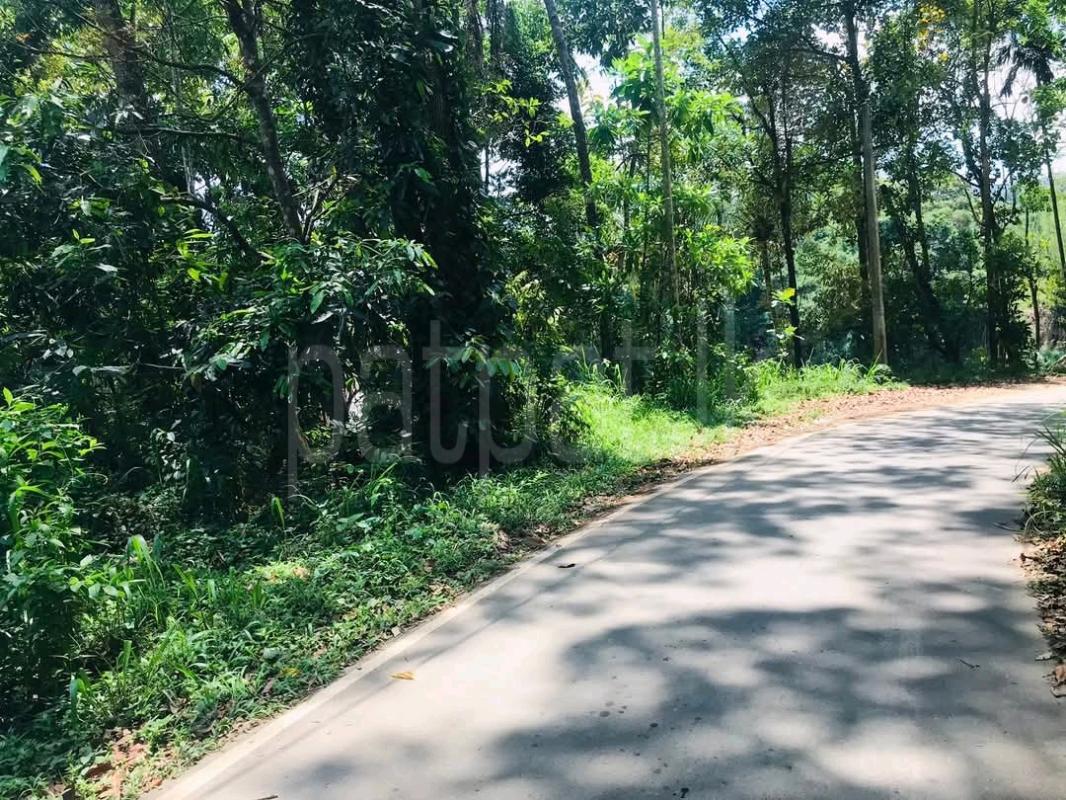 Commercial Land for Sale in Weligalla ads-image-1