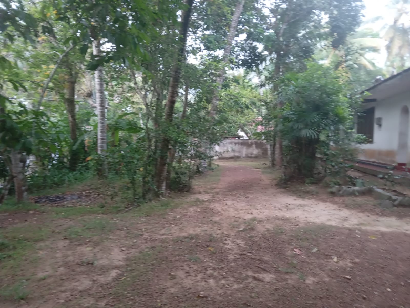 Residential Land for Sale in Bandaragama