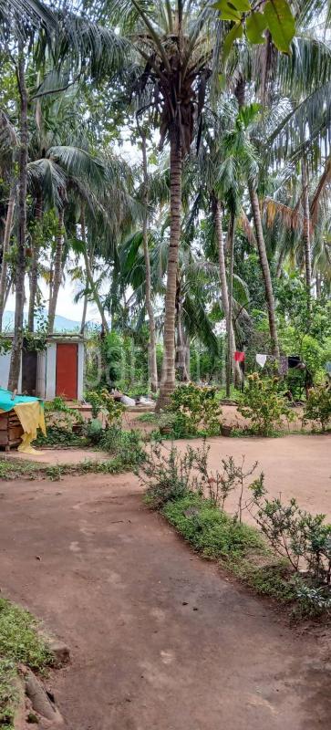 Residential Land for Sale in Kataragama