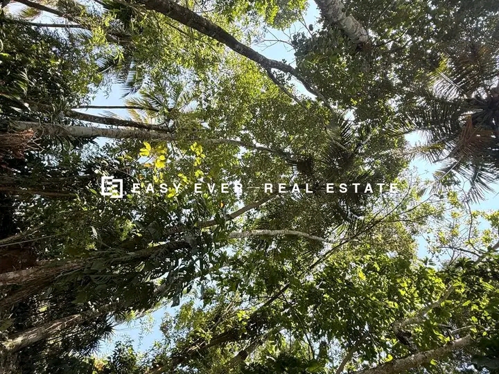 Commercial Land for Sale in Minuwangoda