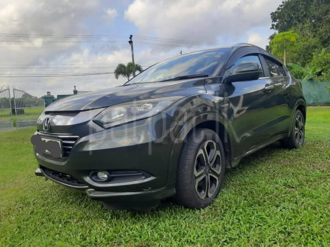 Advertisement image 3