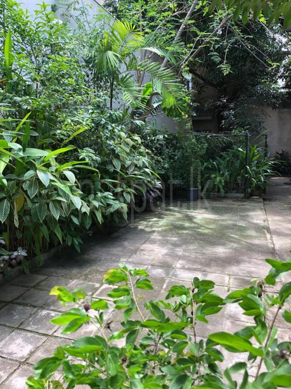 House for Rent in Kollupitiya (Colombo 03)