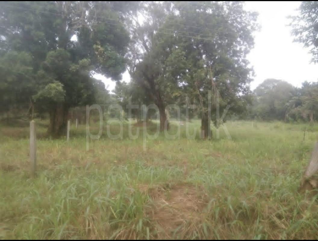 Commercial Land for Sale in Kundasale