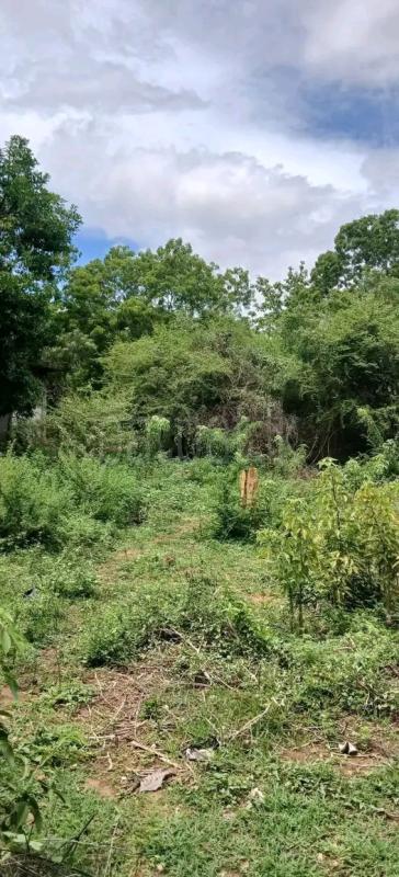 Residential Land for Sale in Peliyagoda