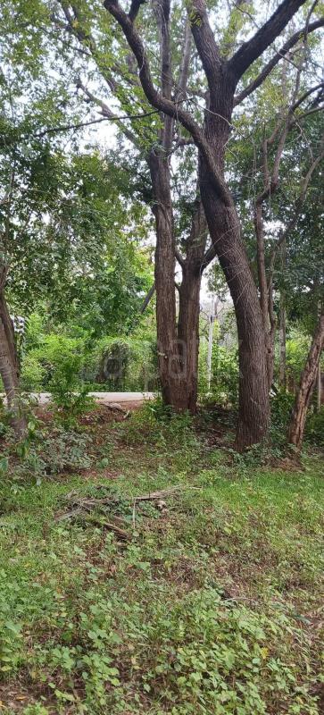 Residential Land for Sale in Kataragama