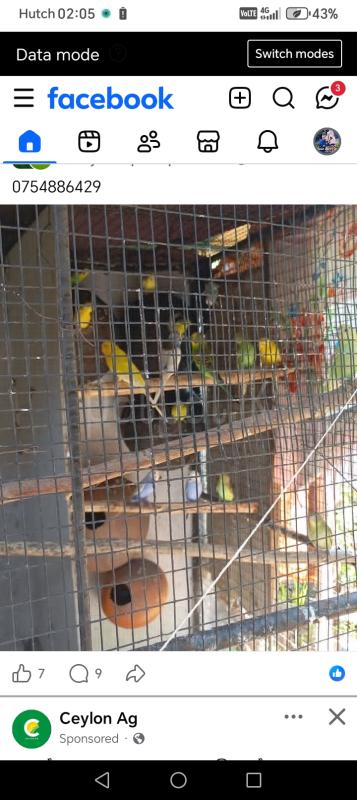 0716697963 ads-image-1