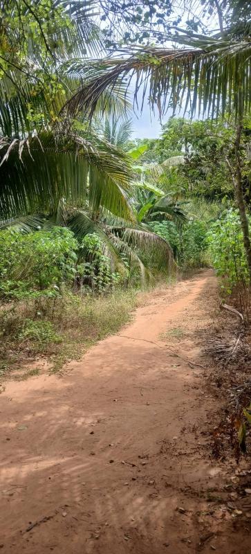 Agricultural Land for Sale in Kataragama