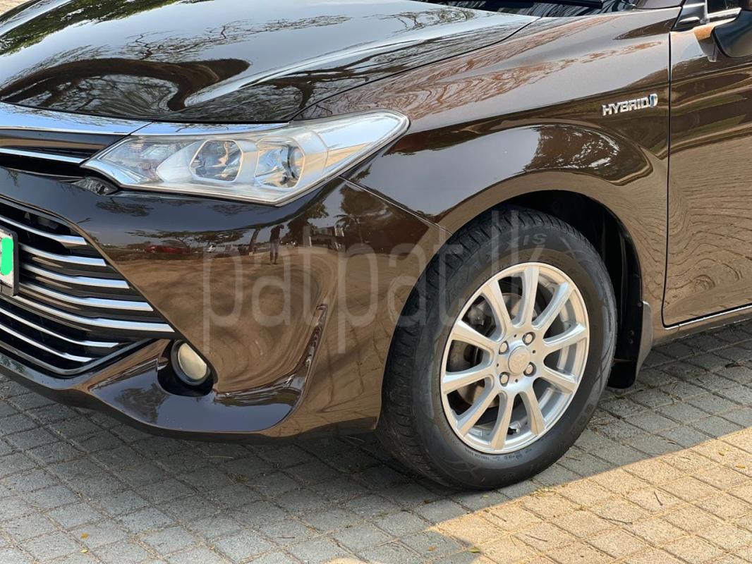 Advertisement image 3