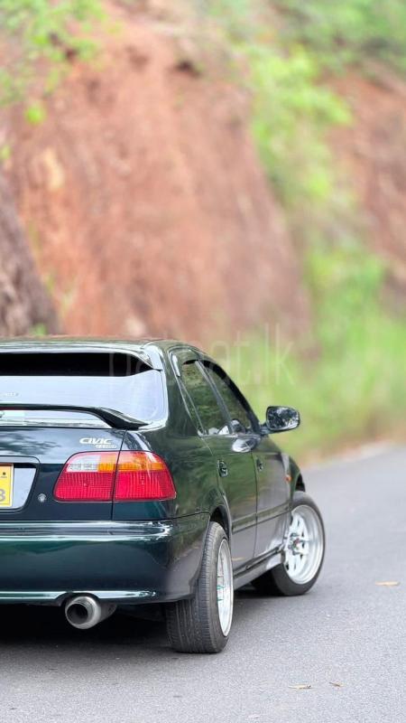 Advertisement image 6