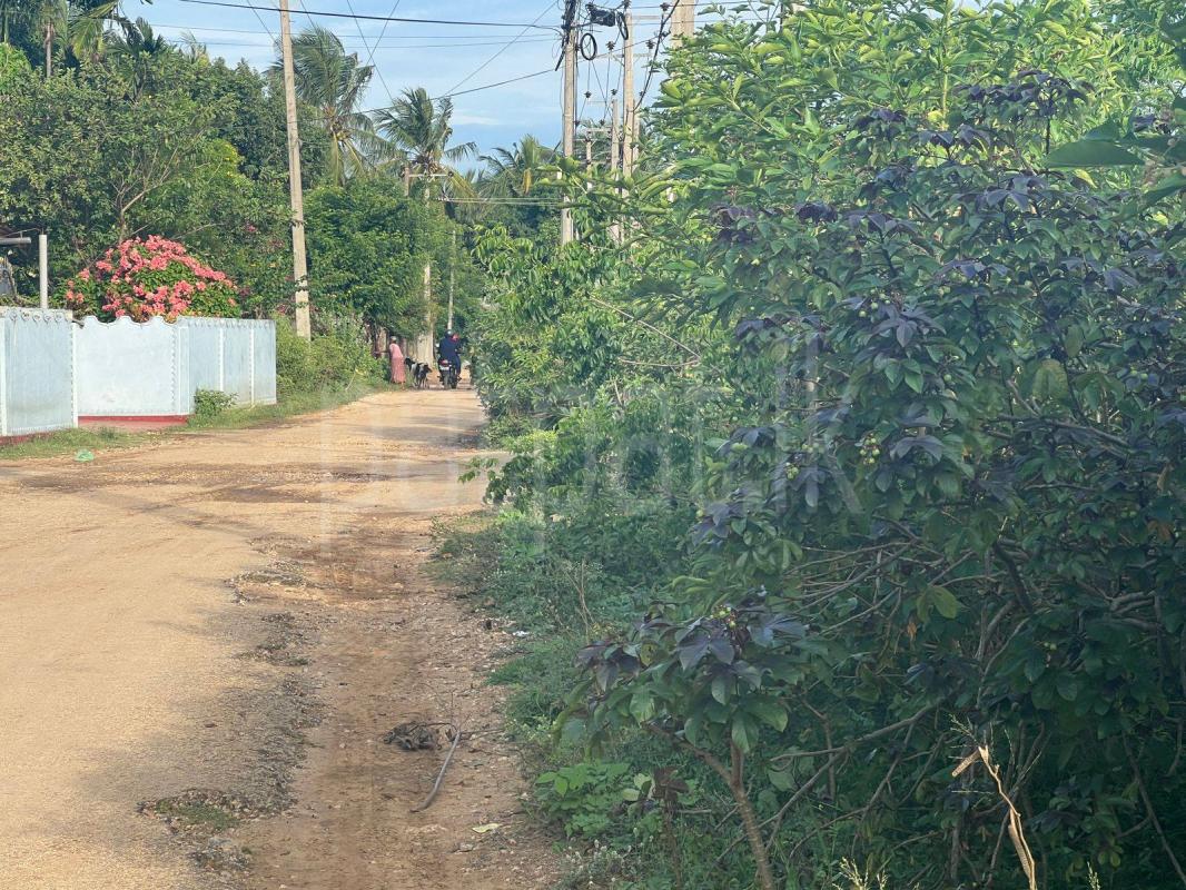 Residential Land for Sale in Urumpirai ads-image-1