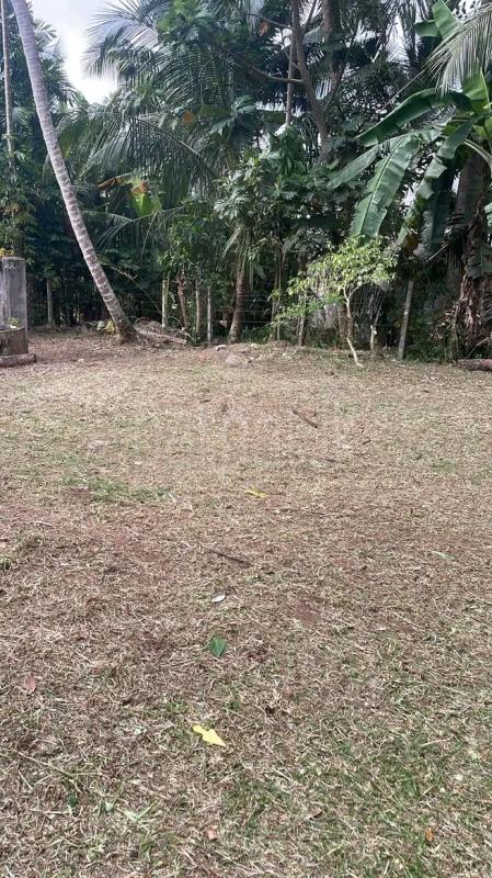 Residential Land for Sale in Panadura