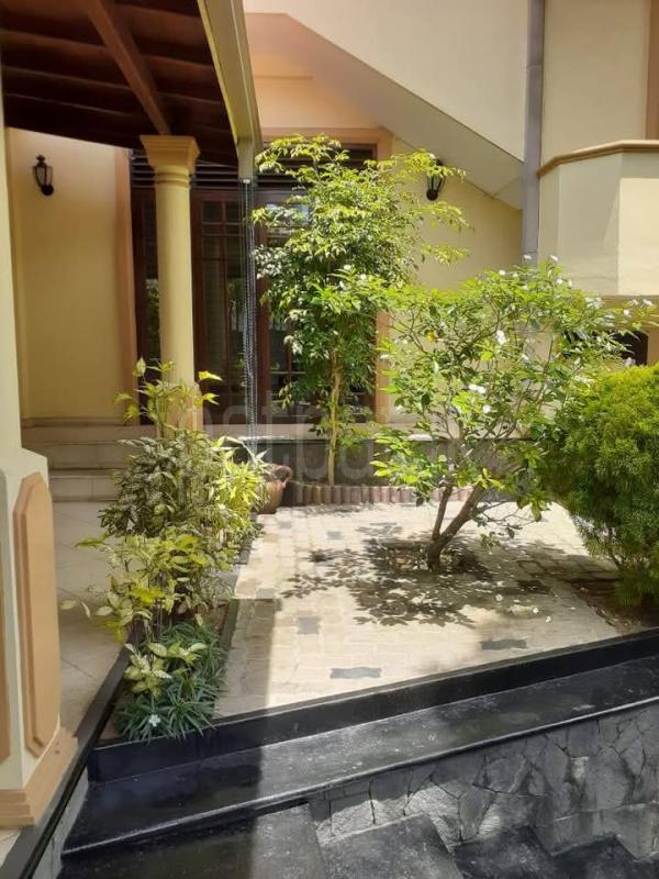 Advertisement image 6