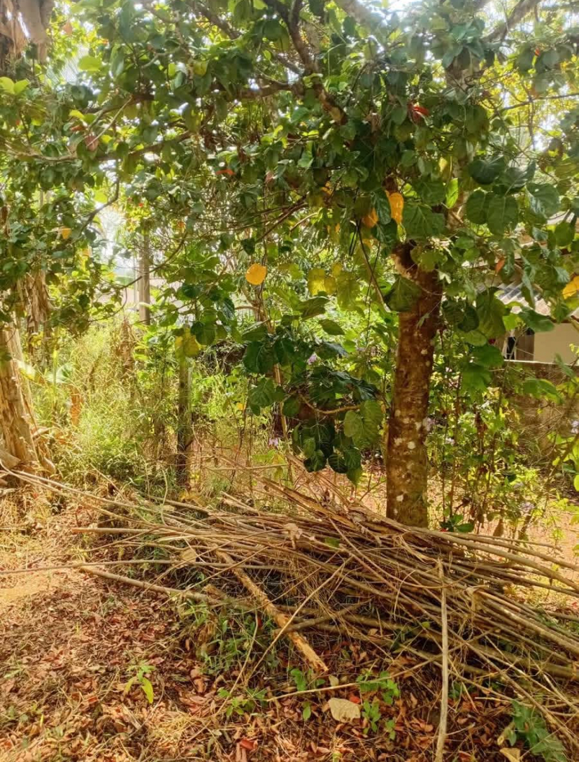 Residential Land for Sale in Kahathuduwa