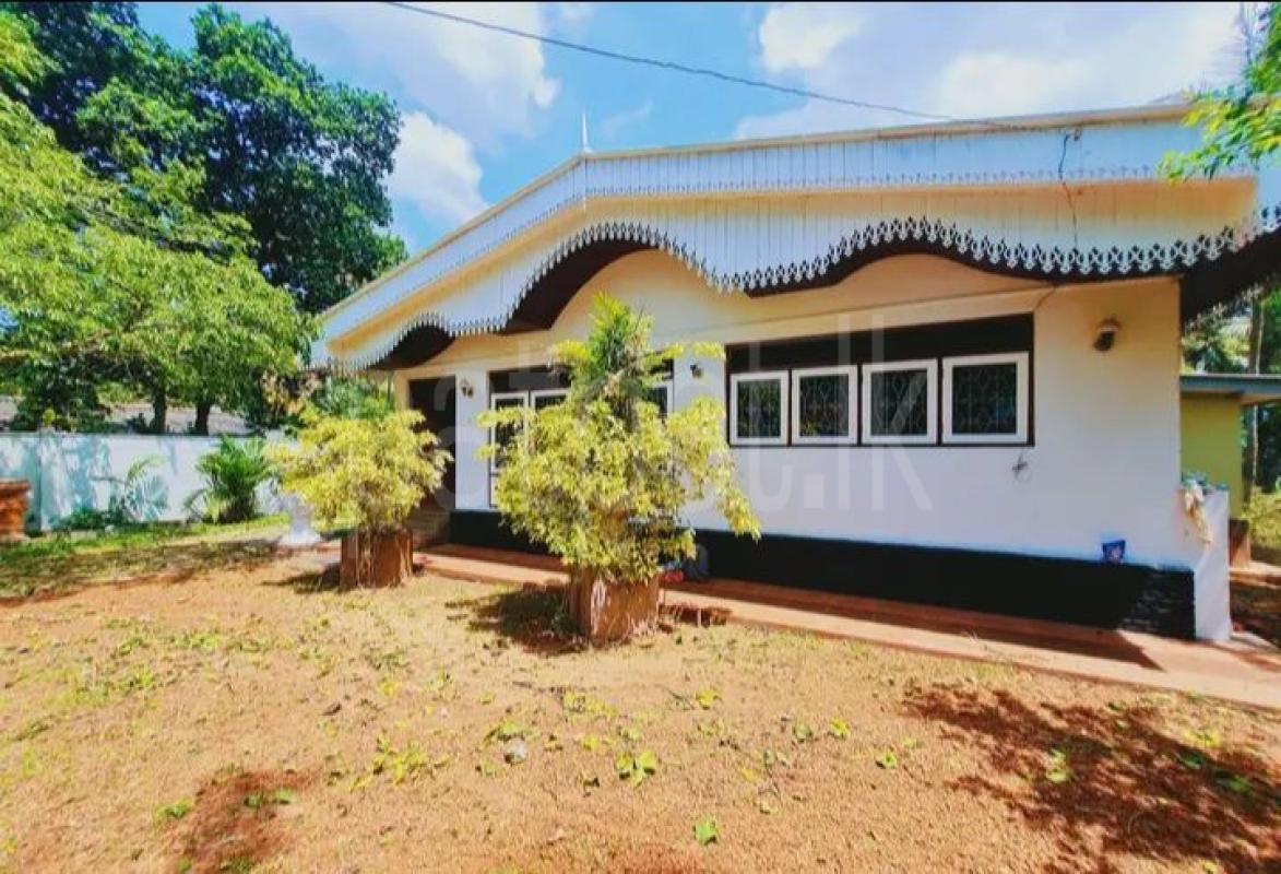 premium-listing-image