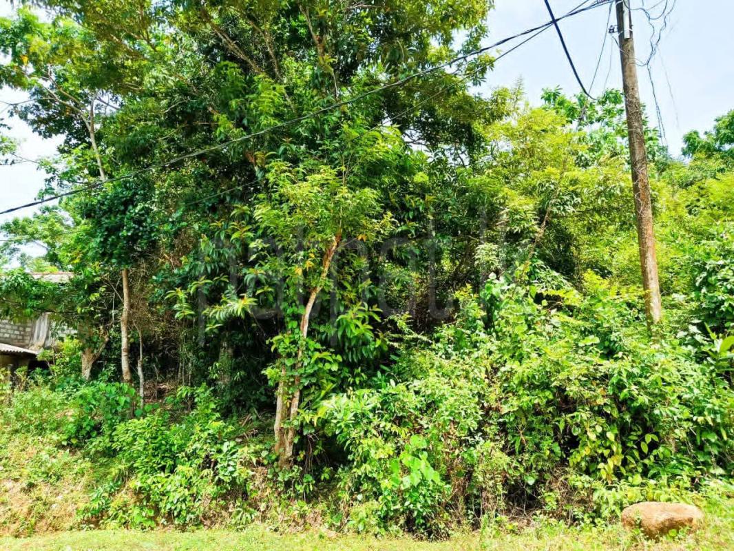 Residential Land for Sale in Gamagoda