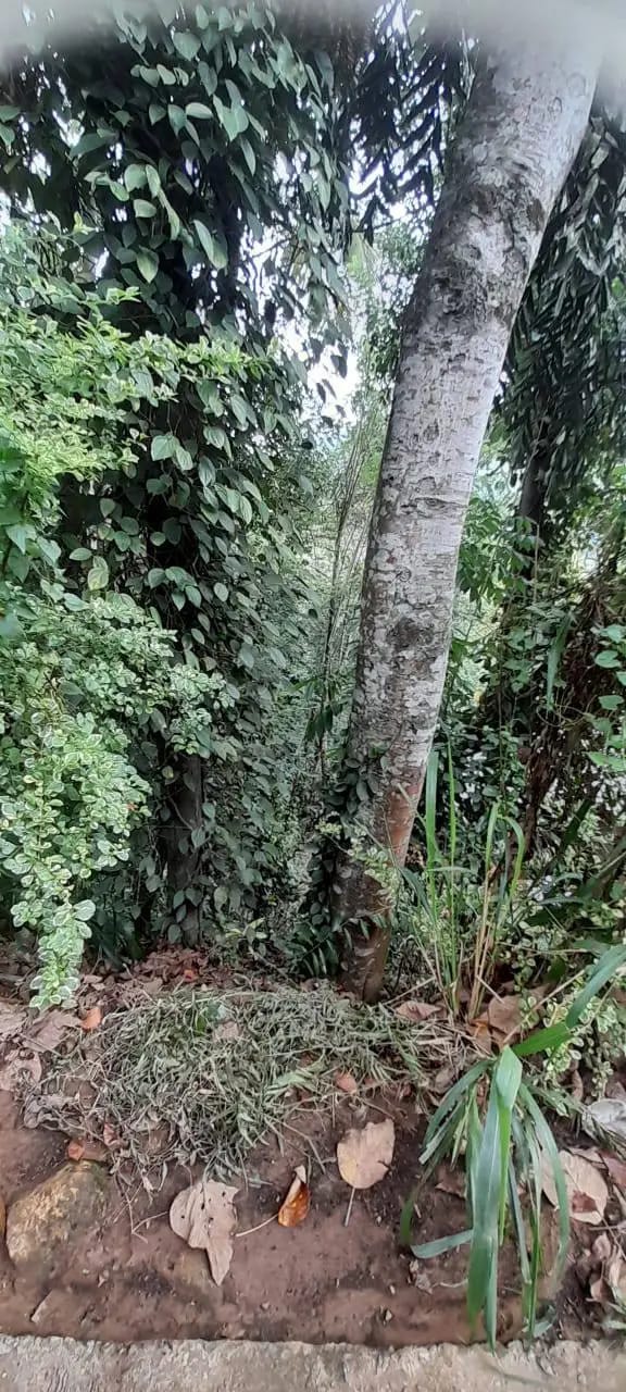 Residential Land for Sale in Badulla