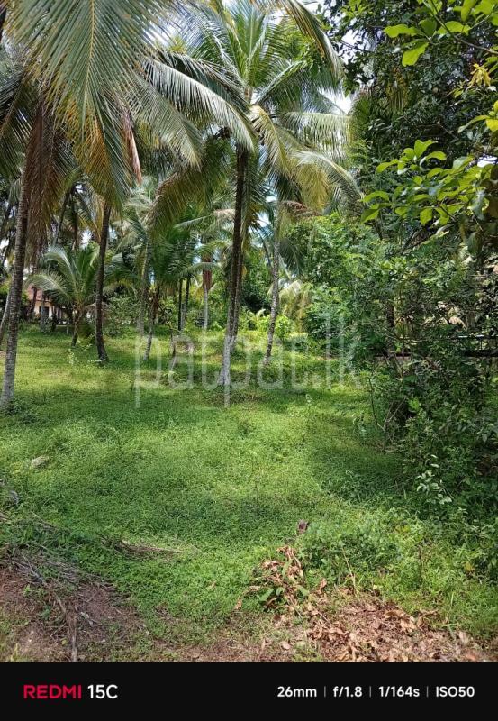 Residential Land for Sale in Veyangoda
