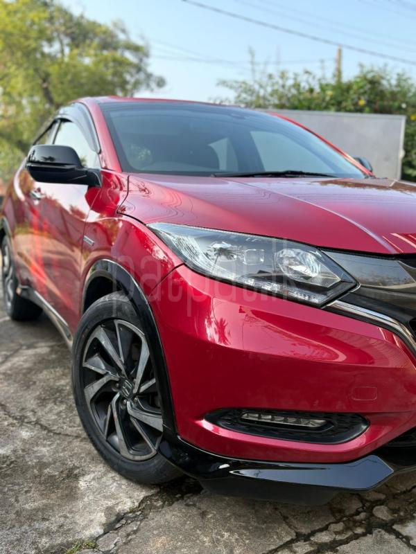 Advertisement image 1