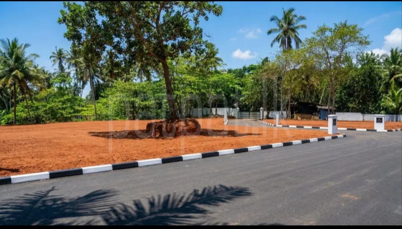 Residential Land for Sale in Devinuwara (Dondra) ads-image-1