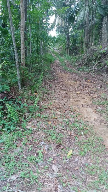 Agricultural Land for Sale in Deniyaya