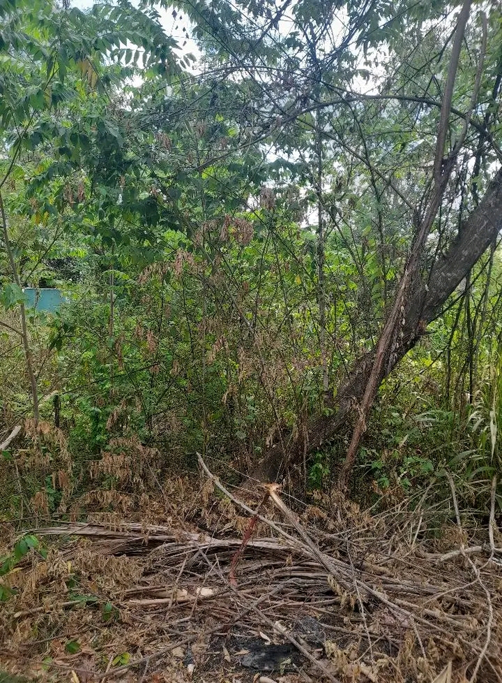 Residential Land for Sale in Ranna