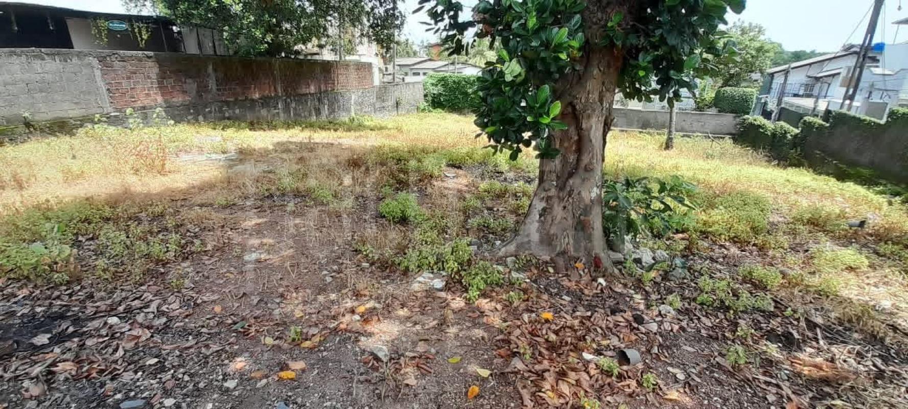 Residential Land for Sale in Kotte