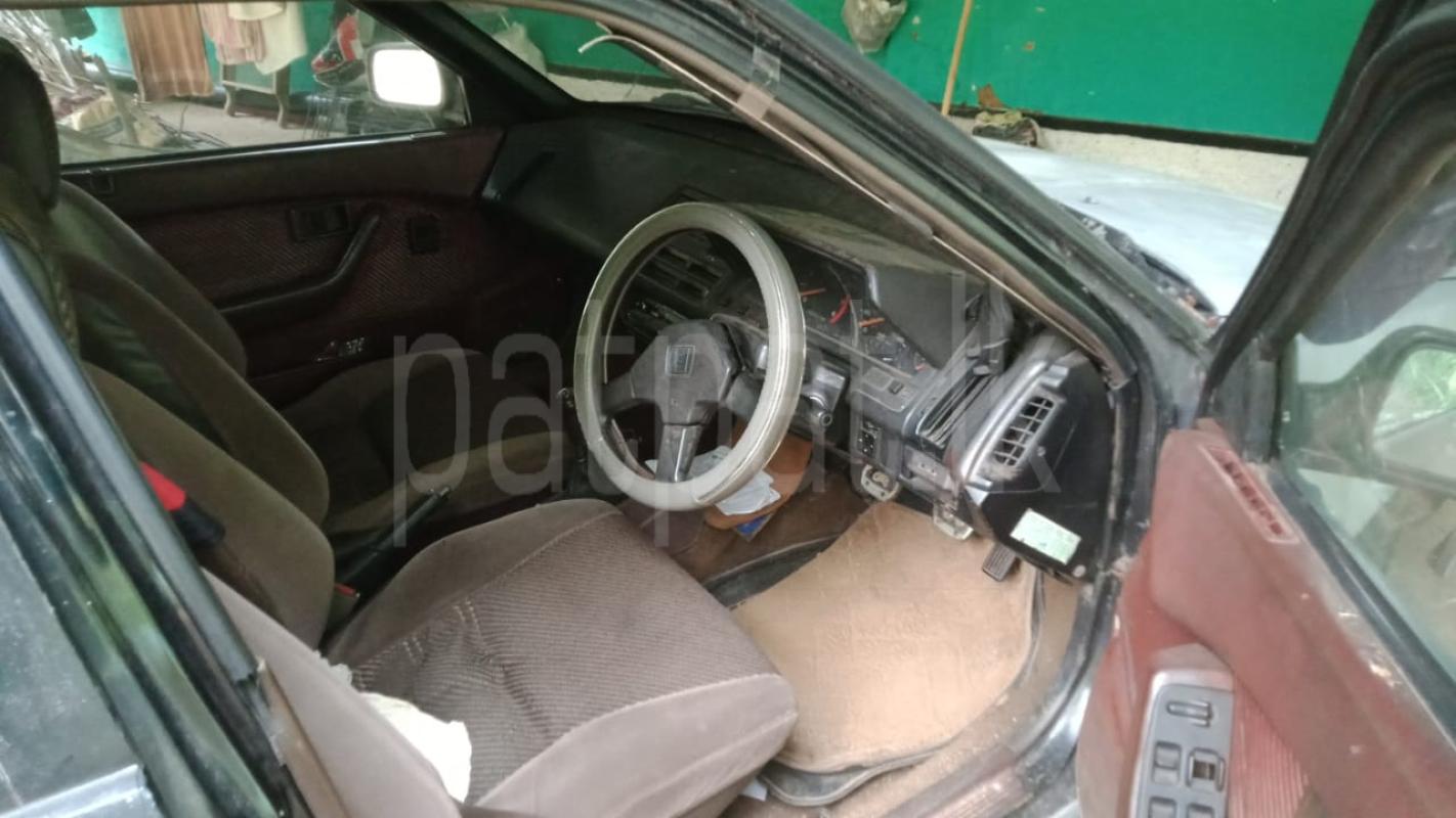 Advertisement image 3